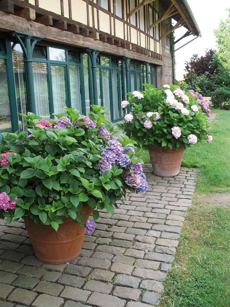 Der Linslerhof - Hotel, Restaurant, Events & Natur Uberherrn Exterior photo