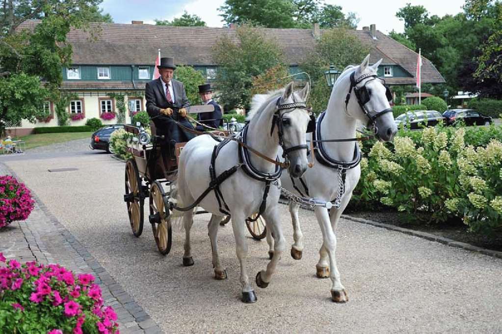 Der Linslerhof - Hotel, Restaurant, Events & Natur Uberherrn Interior photo