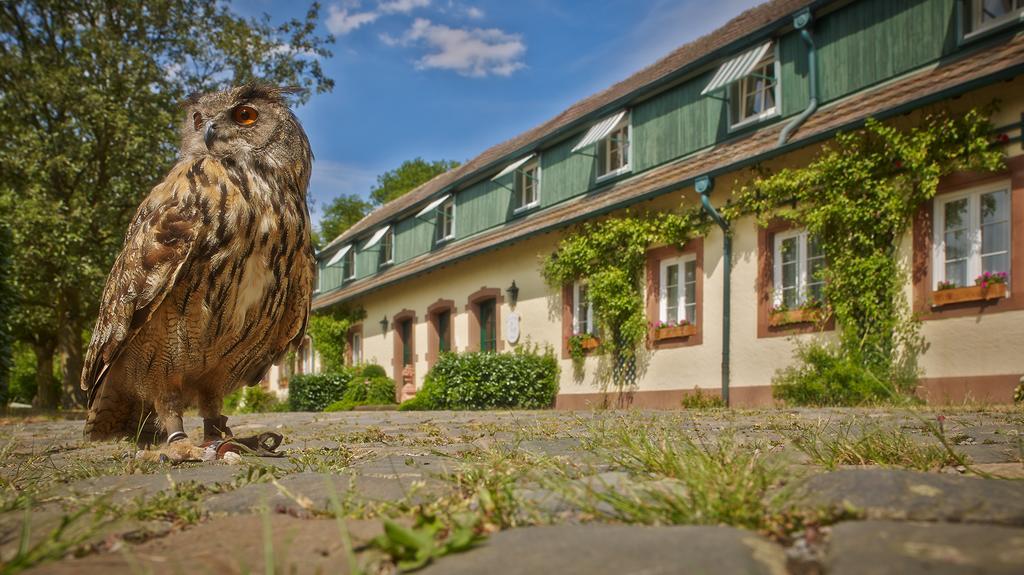 Der Linslerhof - Hotel, Restaurant, Events & Natur Uberherrn Exterior photo